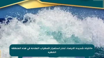 «انتباه شديد» الأرصاد تحذر استمرار اضطراب الملاحة في هذه المنطقة الخطرة